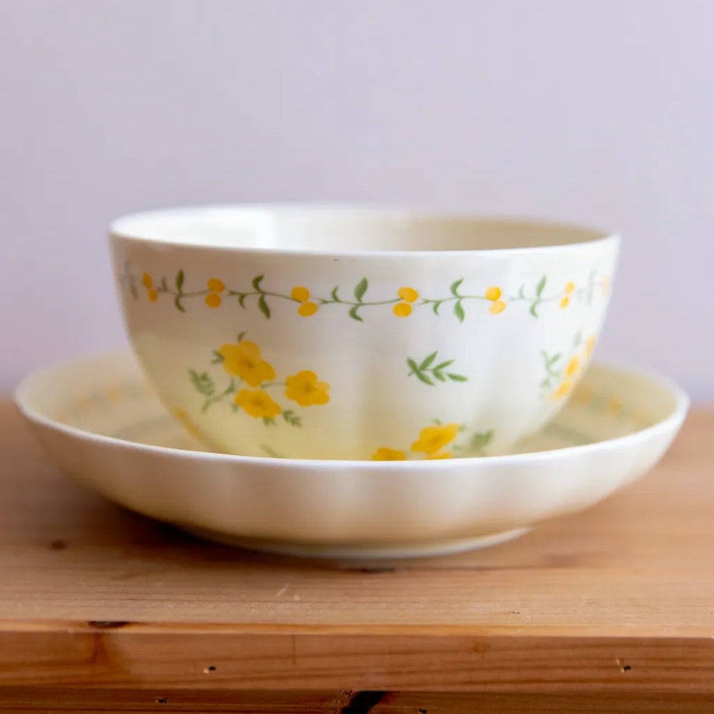 Yellow Garland Ceramic Dining Set 8 InchPlate&6 InchBowl - Delicors