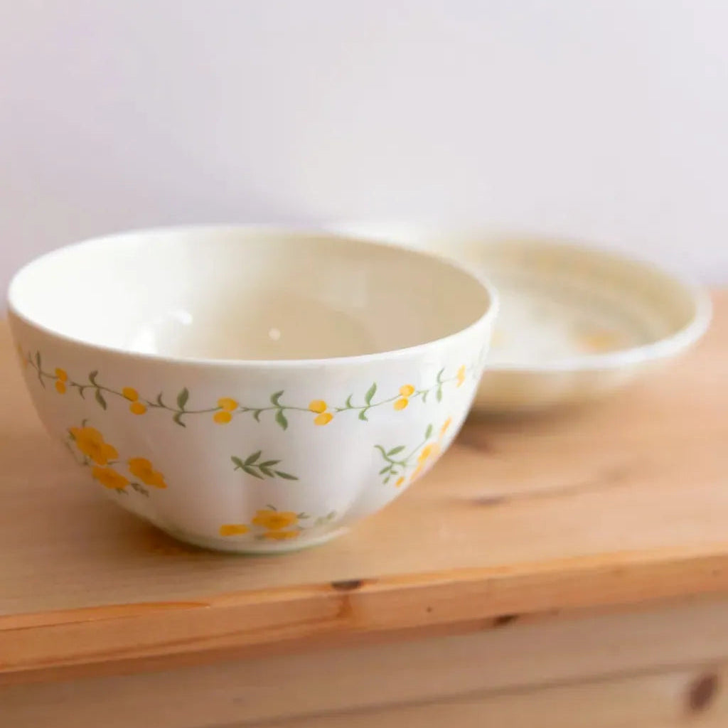 Yellow Garland Ceramic Dining Set 8 InchPlate&6 InchBowl - Delicors