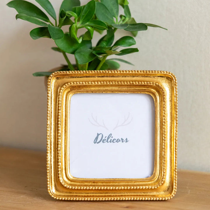 Dual Tone Vintage Photo Frame -- Delicors