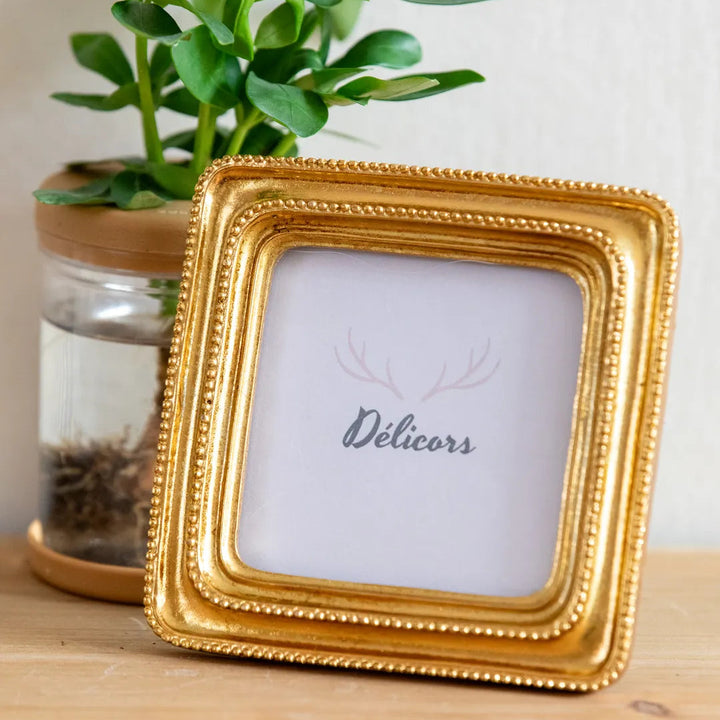 Dual Tone Vintage Photo Frame -- Delicors