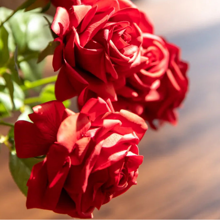 Elegant Rose Flower Decor