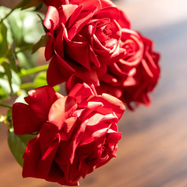 Elegant Red Rose Flower Decor -- Delicors