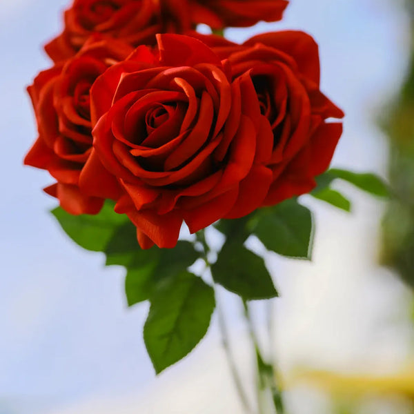 Elegant Red Rose Flower Decor -- Delicors