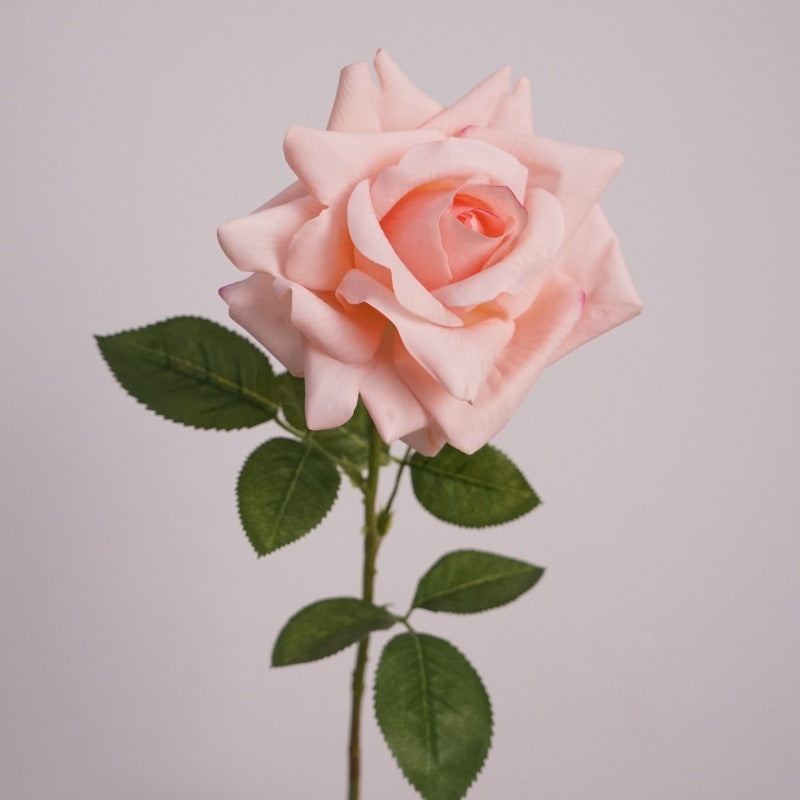 Elegant Pink Rose Flower Decor