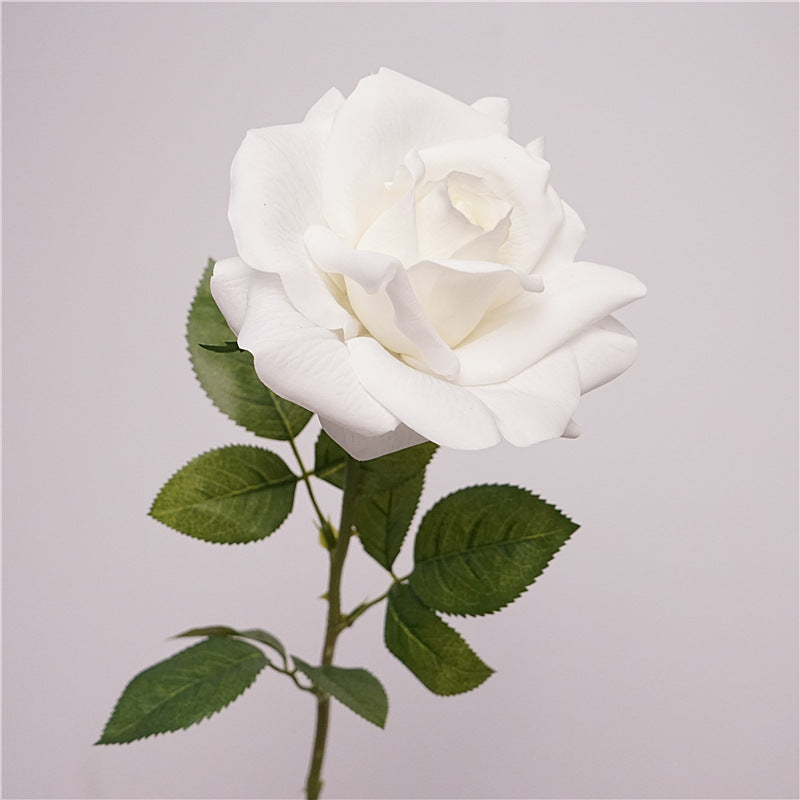 Elegant White Rose Flower Decor Australia