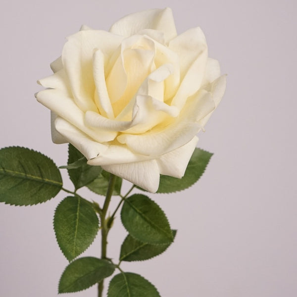 Elegant Rose Flower Decor Yellow