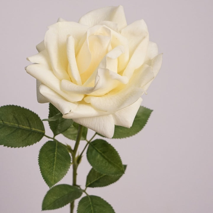Elegant Rose Flower Decor Yellow