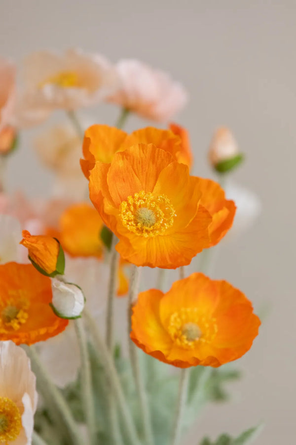 Buy Lively Vibe Poppy Bouquet