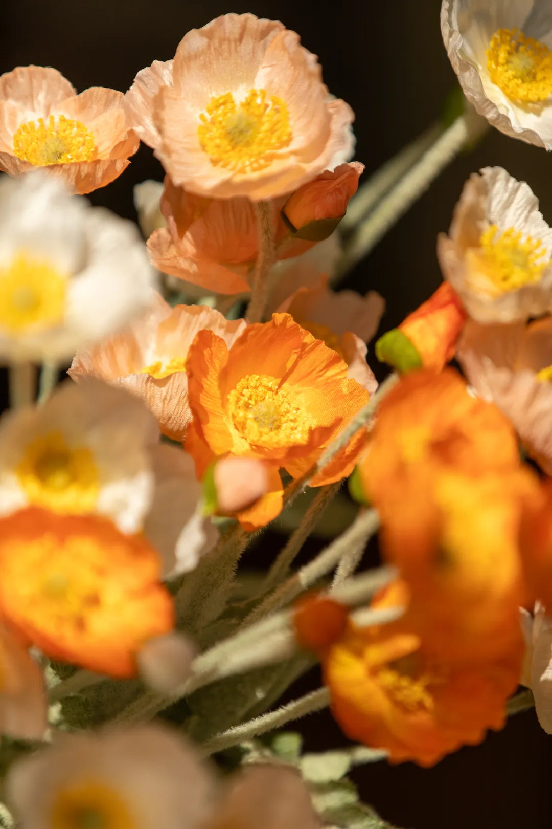 Shop Lively Vibe Poppy Bouquet

