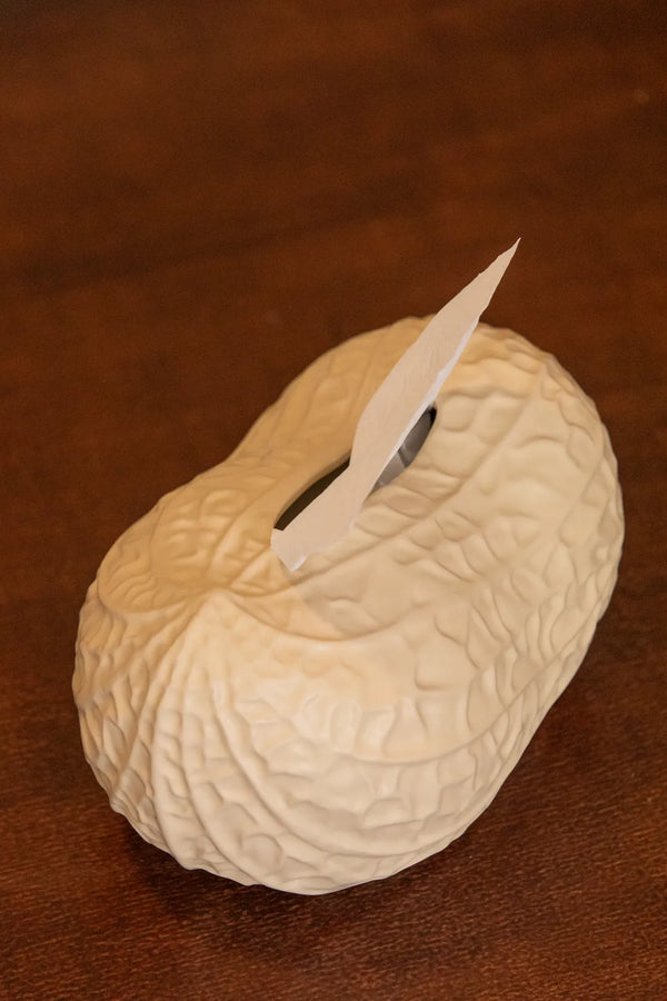 Peanut Tissue Box -- Delicors