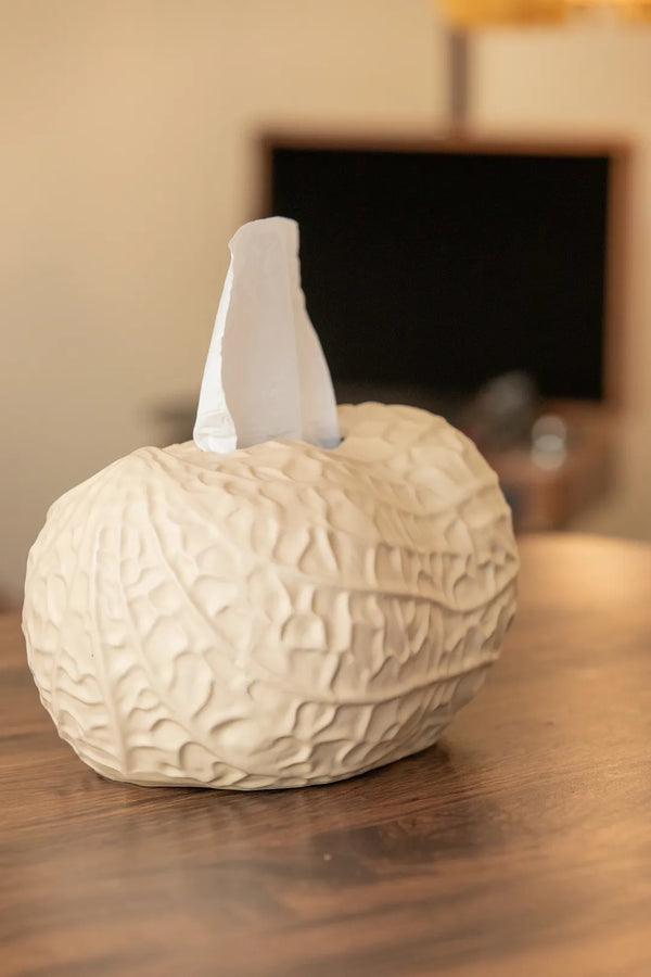 Peanut Tissue Box -- Delicors