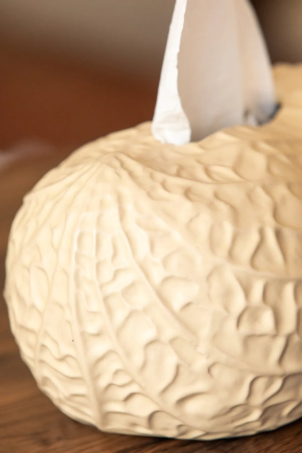 Peanut Tissue Box -- Delicors