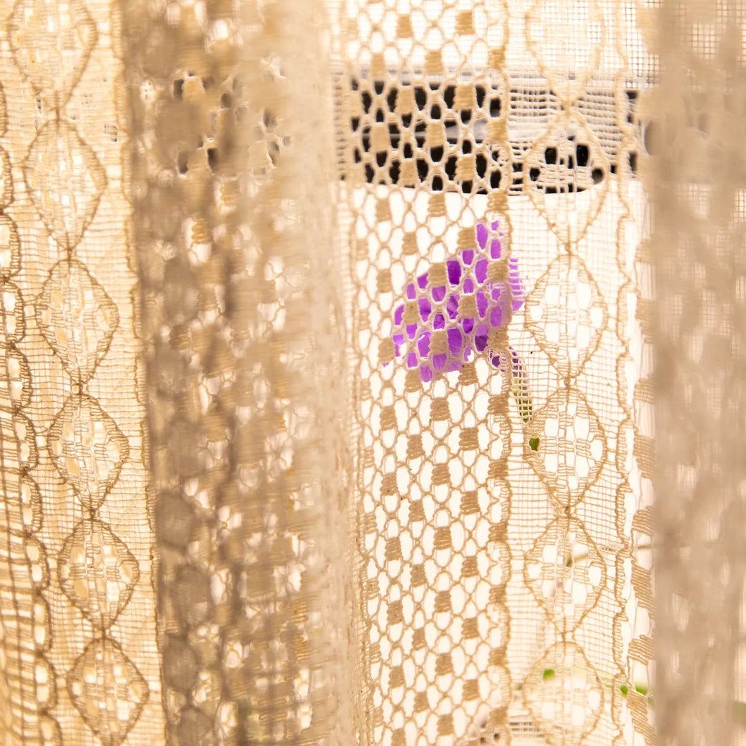 Romantic Lace Curtain -- Delicors