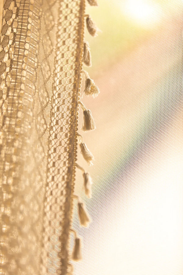 Romantic Lace Curtain -- Delicors