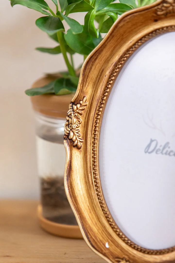 Romantic Vintage Oval Frame -- Delicors