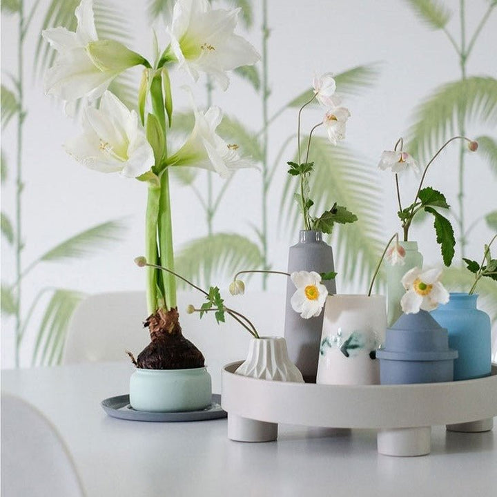 Modern Style Tray Collection - Tray - Delicors