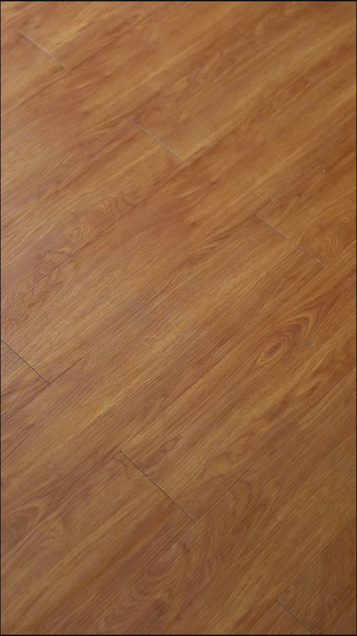 Cow Cat Rug - Delicors