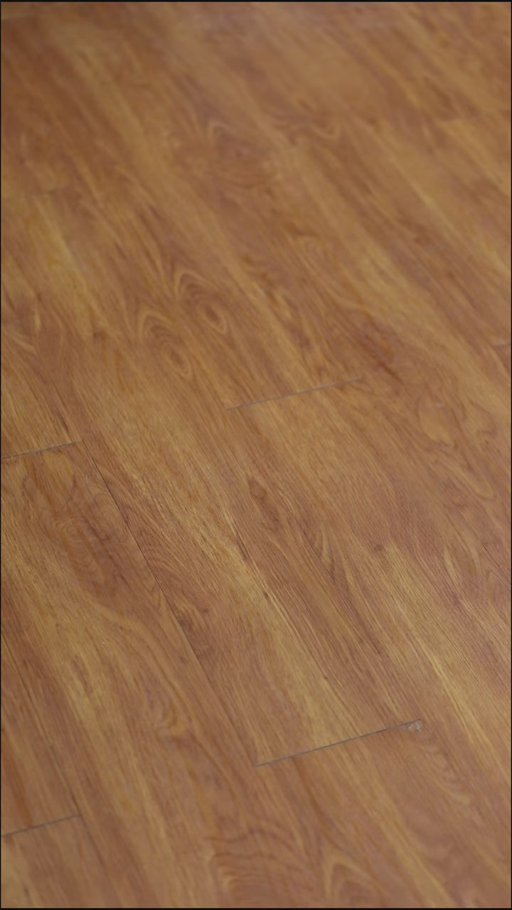 Cat-titude Rug Collection