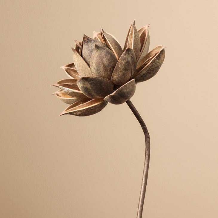 Zen Dried Flower Collection - Artificial Flower - Delicors