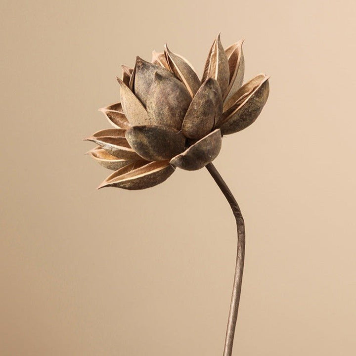 Zen Dried Flower Collection - Artificial Flower - Delicors