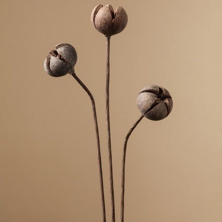 Zen Dried Flower Collection - Artificial Flower - Delicors