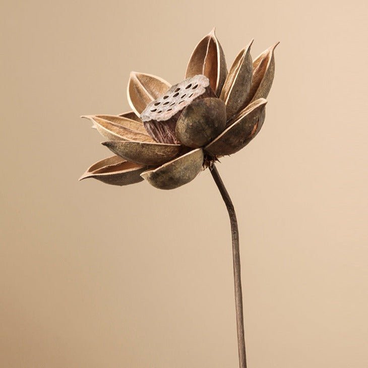 Zen Dried Flower Collection - Artificial Flower - Delicors