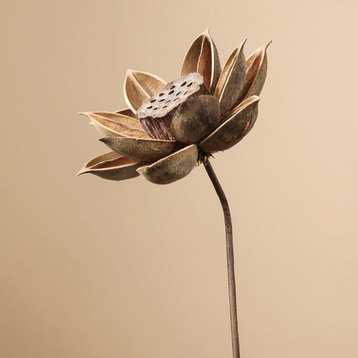 Zen Dried Flower Collection - Artificial Flower - Delicors