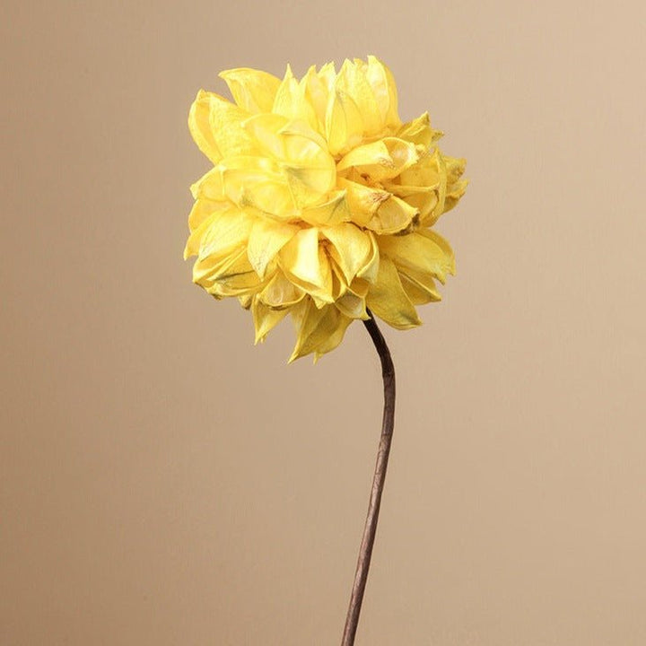 Zen Dried Flower Collection - Artificial Flower - Delicors