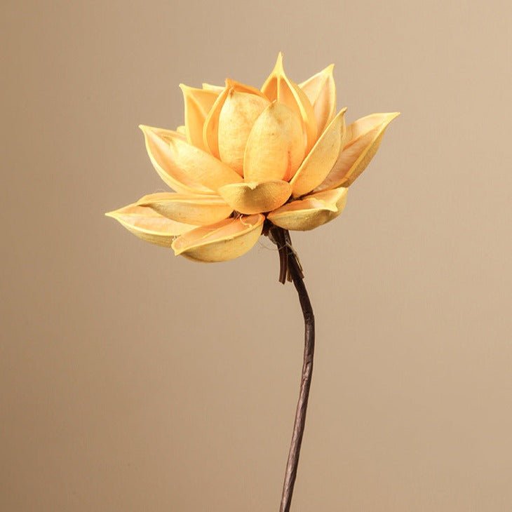 Zen Dried Flower Collection - Artificial Flower - Delicors