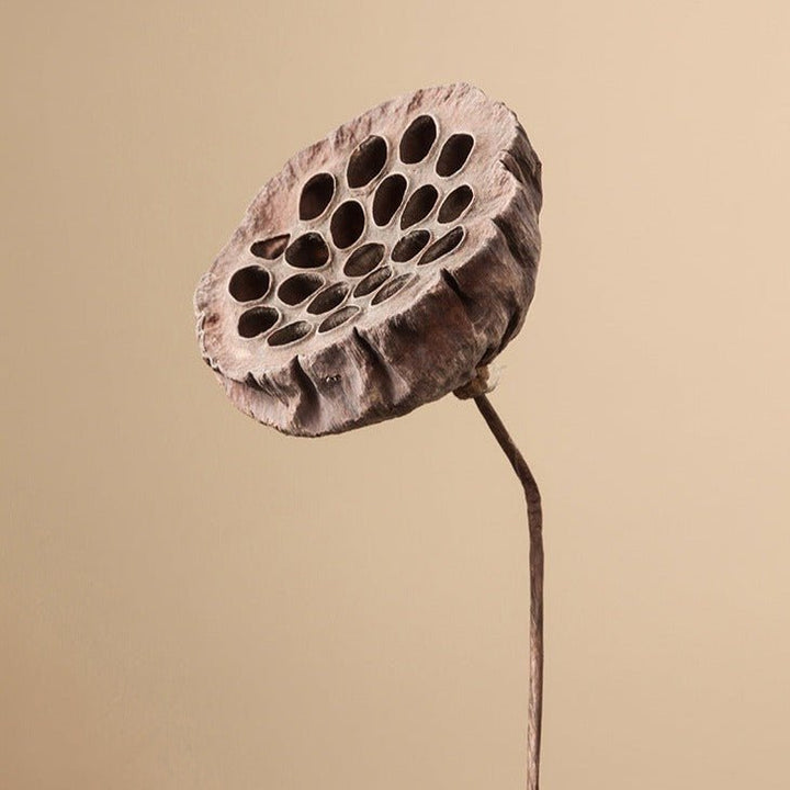 Zen Dried Flower Collection - Artificial Flower - Delicors