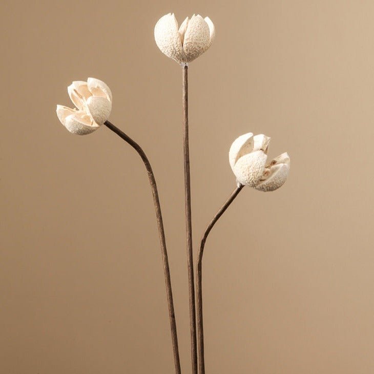 Zen Dried Flower Collection - Artificial Flower - Delicors