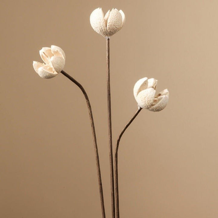 Zen Dried Flower Collection - Artificial Flower - Delicors
