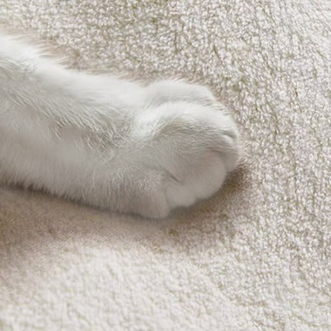 Cat-titude Rug Collection