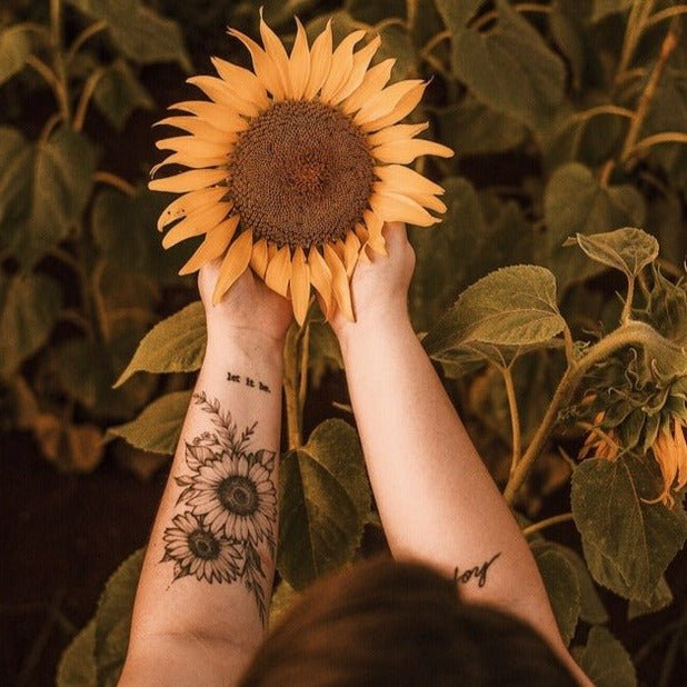 Sunflower Towel Collection -Towel- Delicors